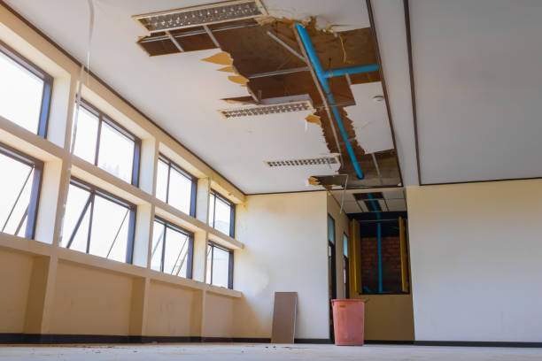 Best Water damage restoration near me  in Duncansville, PA