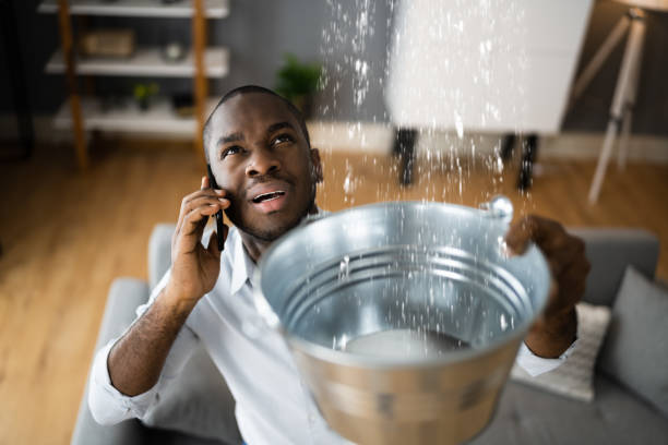 Best Local water damage restoration  in Duncansville, PA