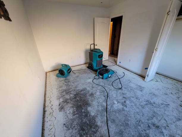 Best Water damage restoration mold remediation  in Duncansville, PA