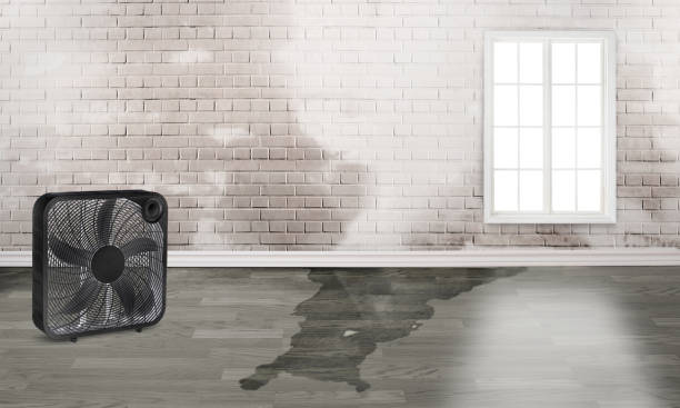 Best Commercial water damage restoration  in Duncansville, PA